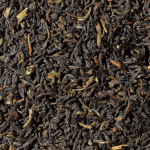 Nilgiri TGFOP